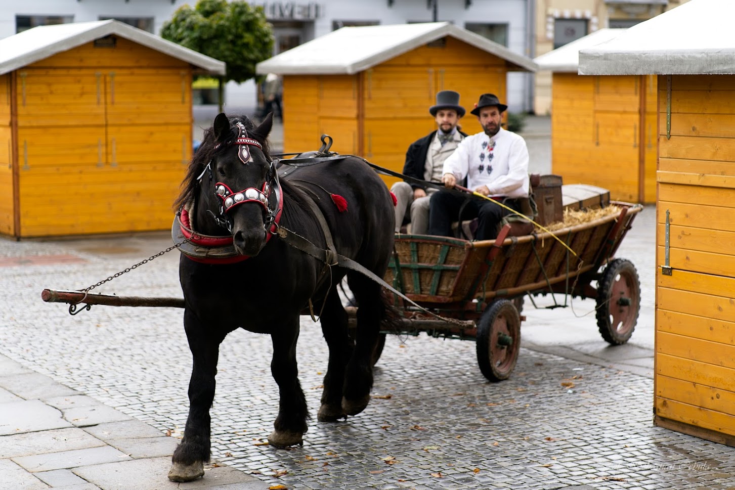 jubileusz biblioteki_1