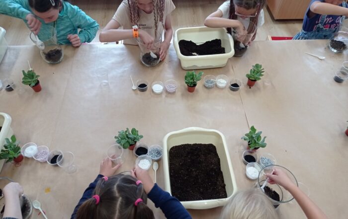 Przy dużym stole siedzi sześcioro dzieci. Na stole są miski z ziemią, małe kwiaty oraz plastikowe pojemniki z kolorowymi kamyczkami.